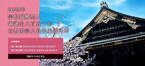 宗祖親鸞聖人御誕生八百五十年・立教開宗八百年慶讃法要特設サイト